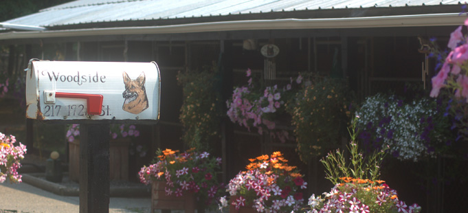 Woodside's Photo Gallery