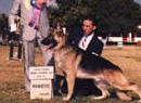 Am Ch Can Sel CH Woodside Arizona v Carmil TC OFA H/E