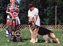 Am Can CH Woodside Country Music CD OFA