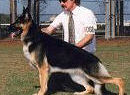 Am CH 2X Can Sel CH    BIM Woodside's Khemosabi OFA H/E