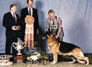 AOE GV CH Can FV MV Sel CH Woodside Nestle Quik Merwesteyn HT ROM ROMC OFA