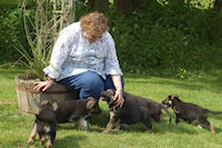 Helen Franklin at Woodside