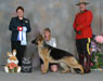 Woodside German Shepherds