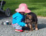 Woodside German Shepherds