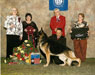 Woodside German Shepherds