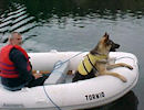 Jake and his owner, Mr. Donnely