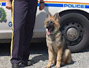 RCMP officer Jody and her dog, Dakota