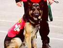Woodside's Photo Gallery