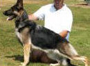 CH Woodside's Cheyenne Bailey