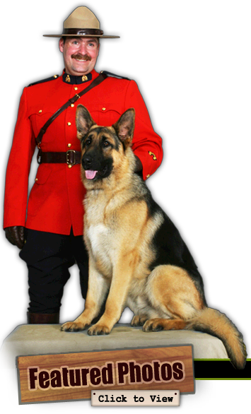 RCMP and Calvin
