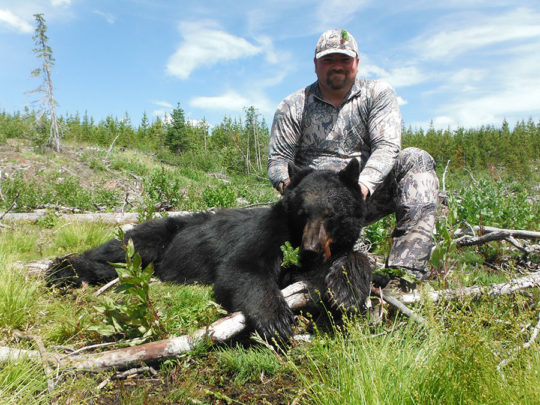 BC Bear Hunts