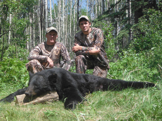 Black Bear Hunt BC
