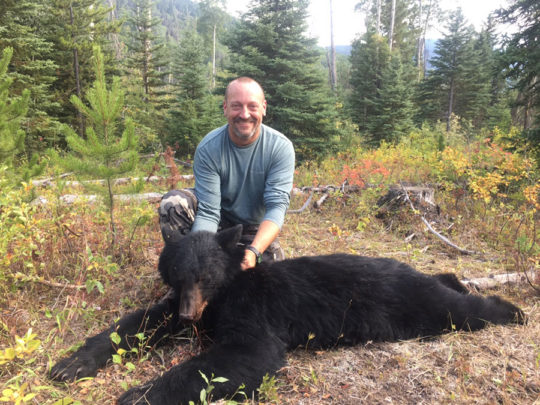 Black Bear Hunt BC