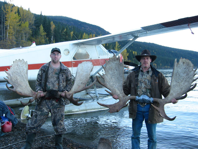 Chasse au cerf mulet — BC Guide Outfitters – BC Guide Outfitters