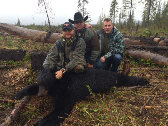 BC Black Bear Hunts