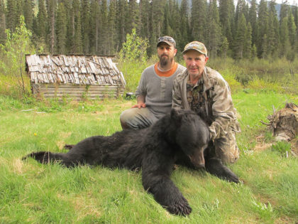 BC Black Bear Hunt