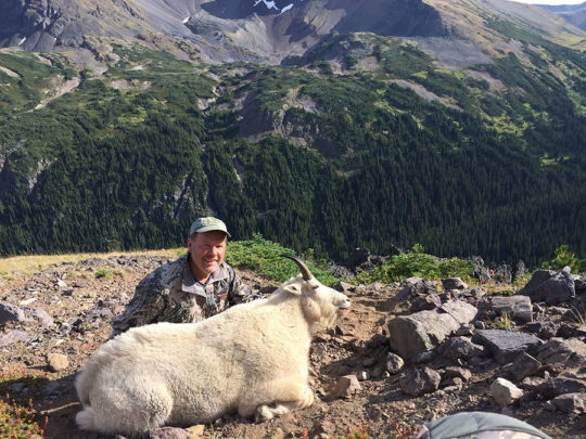 mountain goat hunt