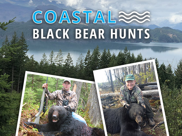 Coastal Black Bear Hunts