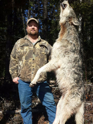 BC Wolf and Predator Hunt
