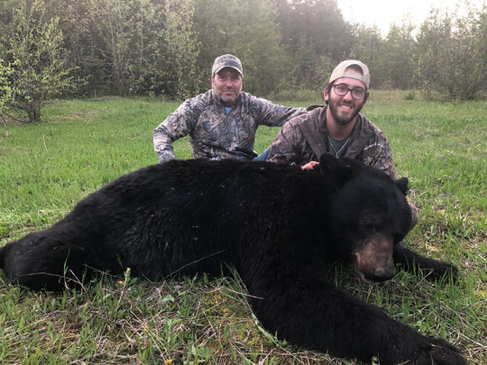 BC Black Bear Hunting