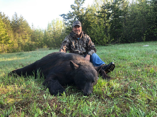 BC Black Bear Hunting