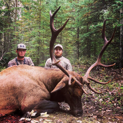 Elk Hunts in BC