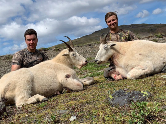 Mountain Goat Hunts