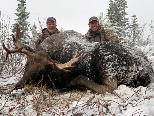 Moose hunt in BC