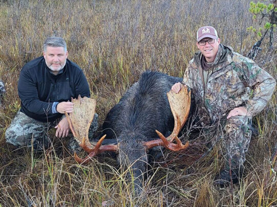 Trophy Moose Hunt